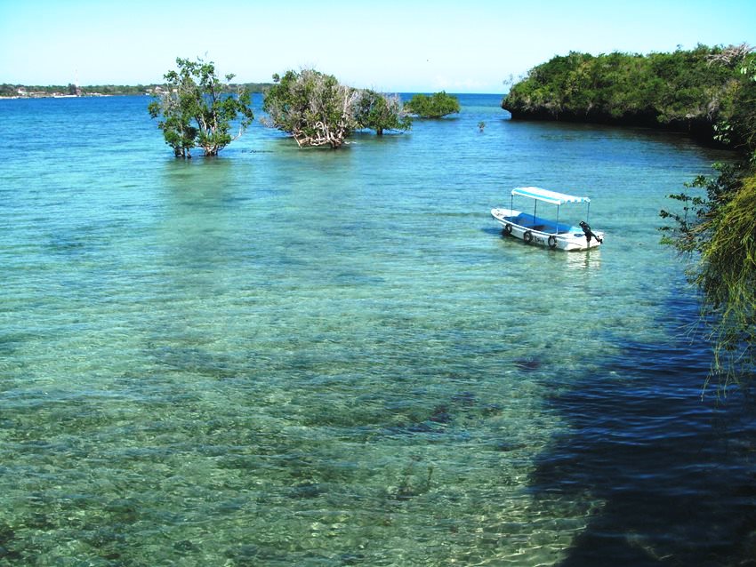 Wasini Island（瓦西尼岛）-非行家旅行-Africa Wild Wander