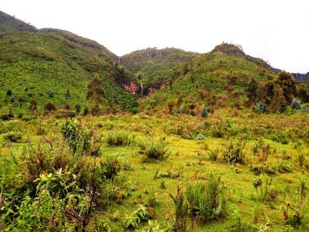 Maverick Camp（住宿休闲 / 艺术度假）-非行家旅行-Africa Wild Wander
