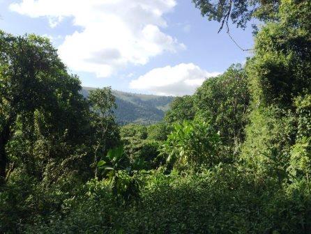 Forests in Kenya（水系 / 湖泊 / 海岸）-非行家旅行-Africa Wild Wander
