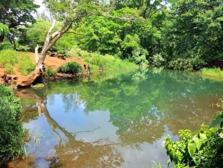 Njoro Springs（湖泊 / 泉水 / 湿地）-非行家旅行-Africa Wild Wander