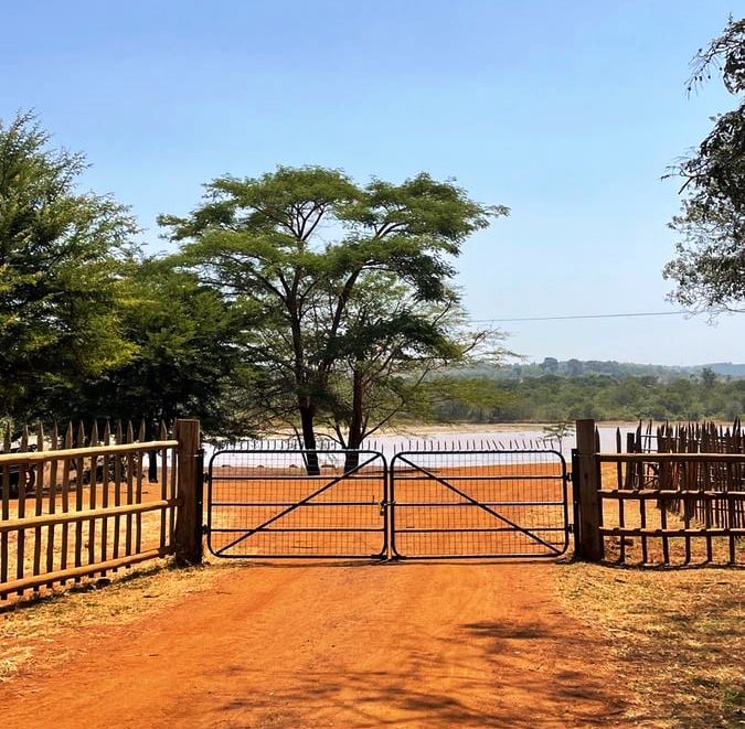 Kakuzi Boran Barn（农业 / 茶园体验）-非行家旅行-Africa Wild Wander