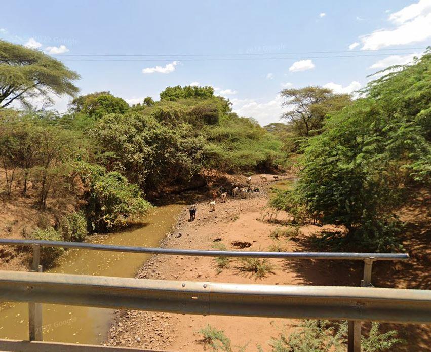 Chuine Conservancy-非行家旅行-Africa Wild Wander