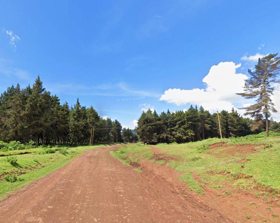 Mucheene Forest（森林 / 水源地）-非行家旅行-Africa Wild Wander