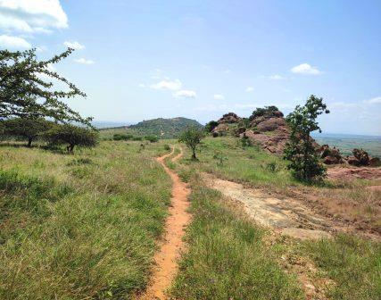 Lukenya Hills（卢肯亚山）-非行家旅行-Africa Wild Wander