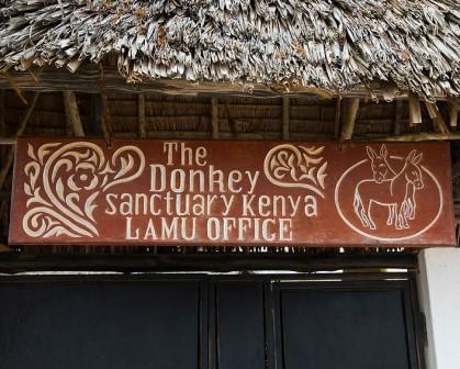 Lamu Donkey Sanctuary（拉穆驴保护中心）-非行家旅行-Africa Wild Wander