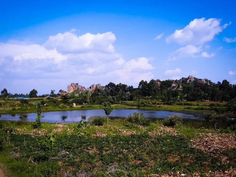 Kabuchai Hills（自然景观 / 徒步）-非行家旅行-Africa Wild Wander