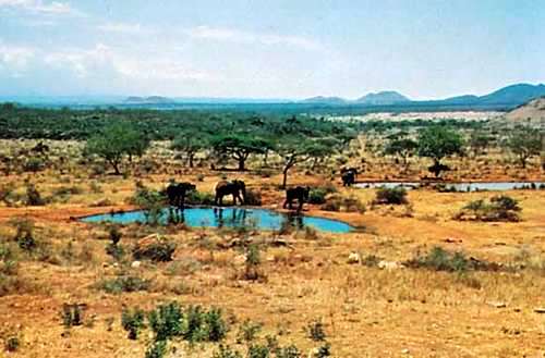 Aberdares National Park, Nairobi National Park, Tsavo National Parks, Shimba Hills National Park, Masai Mara National Reserve（水系 / 湖泊 / 海岸）-非行家旅行-Africa Wild Wander