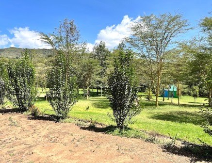 Malewa Bundu Camp(住宿休闲 / 艺术度假)-非行家旅行-Africa Wild Wander