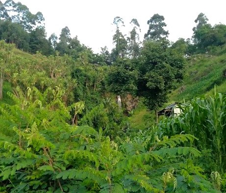 Bagao Cave（山地 / 洞穴）-非行家旅行-Africa Wild Wander