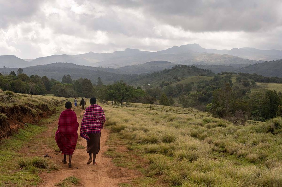 Chepkitale Forest（历史遗产 / 博物馆）-非行家旅行-Africa Wild Wander