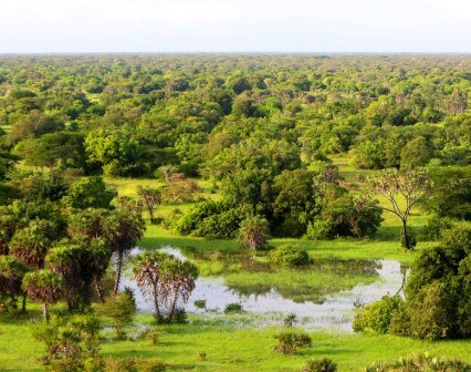 Amu Ranch(保护区 / 海岸生态)-非行家旅行-Africa Wild Wander