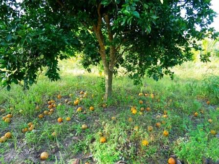 Shimba Hills Farm(保护区 / 野生动物)-非行家旅行-Africa Wild Wander