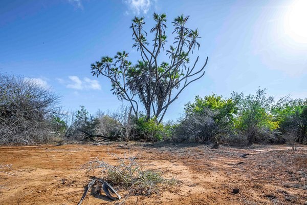 Mchelelo Bandas（水系 / 湖泊 / 海岸）-非行家旅行-Africa Wild Wander