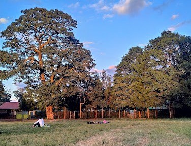 Kaaga War Memorial（Ameru 文化 / 遗产）-非行家旅行-Africa Wild Wander