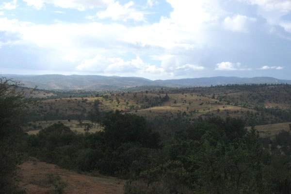 Kenya's Forests（水系 / 湖泊 / 海岸）-非行家旅行-Africa Wild Wander