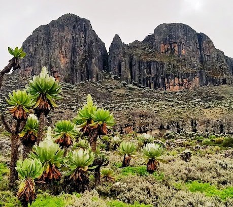 Koitoboss Peak Hike（科伊托博斯峰徒步）-非行家旅行-Africa Wild Wander