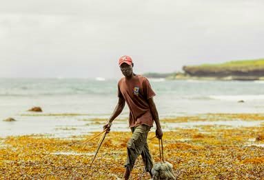 Munje Octopus Closure（海洋保护 / 海岛体验）-非行家旅行-Africa Wild Wander