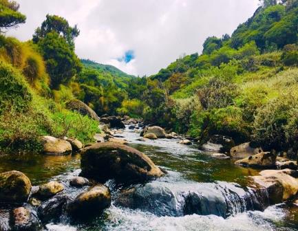 Kamweti Route（卡姆韦蒂登山线）-非行家旅行-Africa Wild Wander