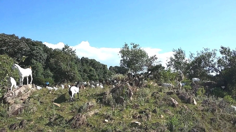 Cheruiyot Ecosystem（县域目的地）-非行家旅行-Africa Wild Wander