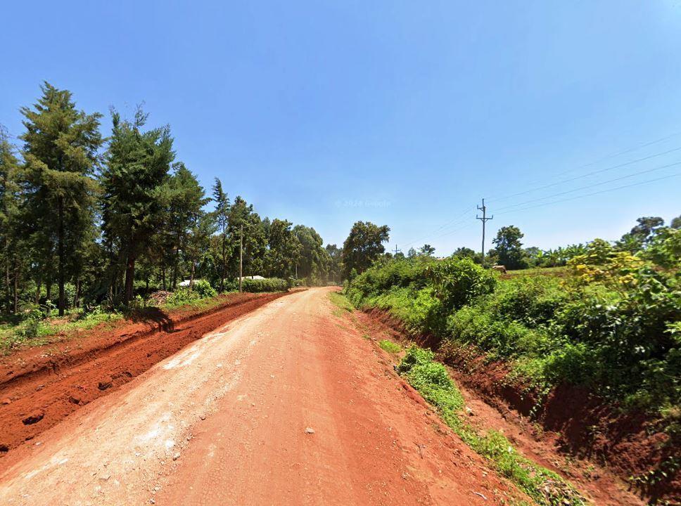 Nyamiencho Coffee Farm（尼亚缅乔咖啡农场）-非行家旅行-Africa Wild Wander