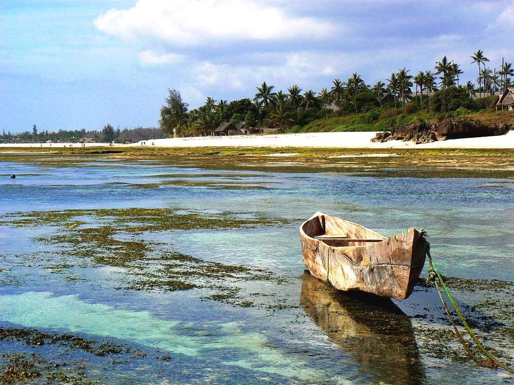 Tiwi Beach(蒂维海滩)-非行家旅行-Africa Wild Wander