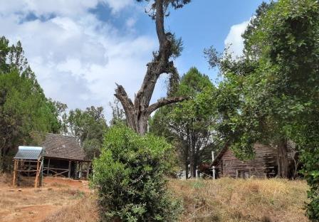 Timau River Lodge（住宿休闲 / 城市服务）-非行家旅行-Africa Wild Wander