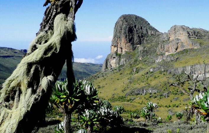 Wagagai Peak Hike（瓦加盖峰徒步）-非行家旅行-Africa Wild Wander