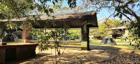 Savage Wilderness(萨加纳荒野探险营)-非行家旅行-Africa Wild Wander
