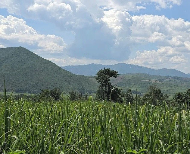 Kopere Rocks（山地 / 观景点）-非行家旅行-Africa Wild Wander