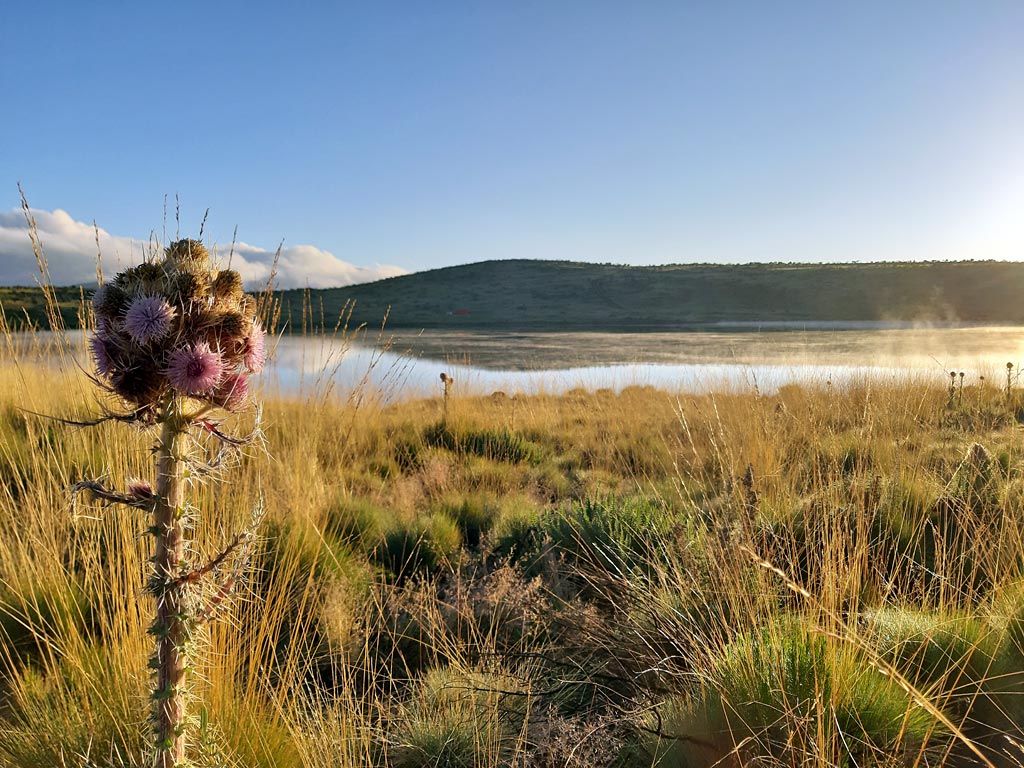 Lake Thai（地貌 / 瀑布 / 泉水）-非行家旅行-Africa Wild Wander