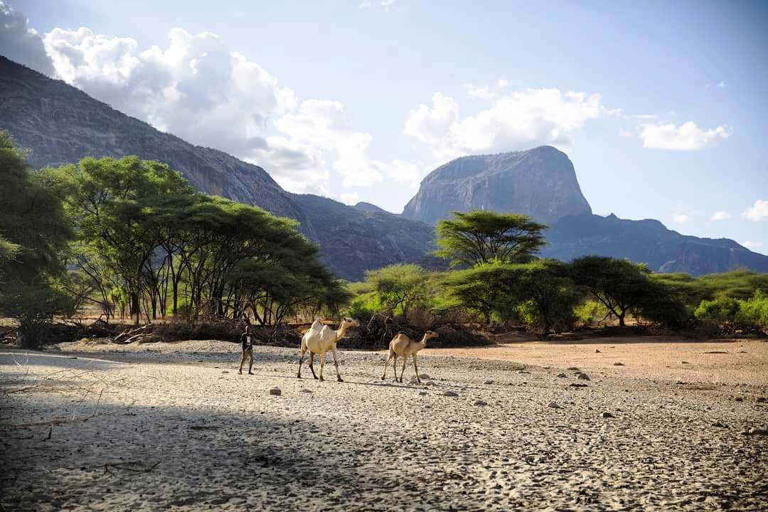 Ngurunit Valley（水源 / 传统生活景观）-非行家旅行-Africa Wild Wander