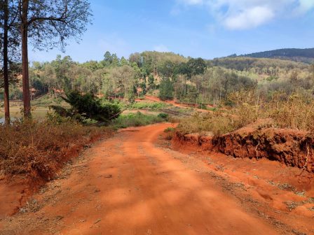 Mbooni Hills（姆博尼山地）-非行家旅行-Africa Wild Wander