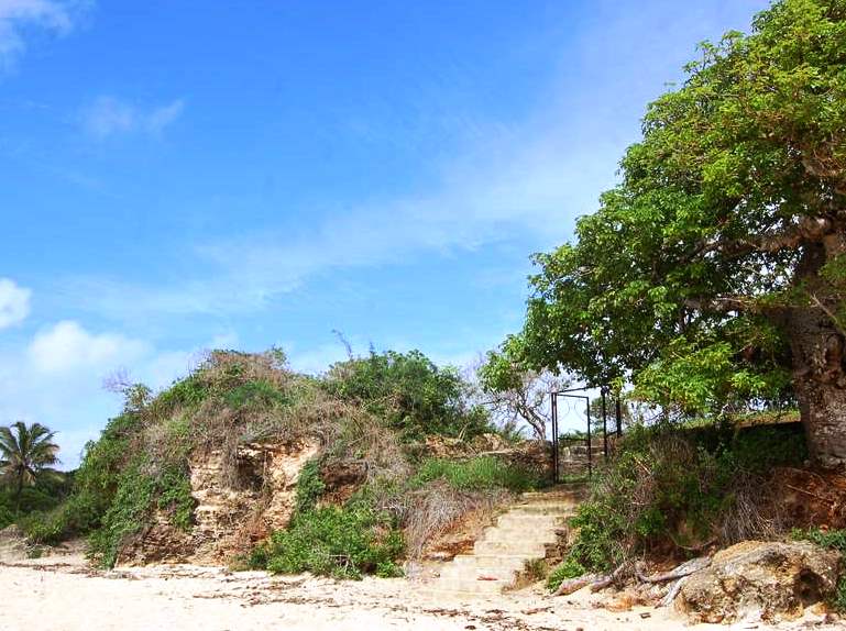 Takaungu Old Town（历史遗产 / 博物馆）-非行家旅行-Africa Wild Wander