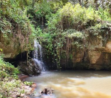 Timau River Lodge（住宿休闲 / 城市服务）-非行家旅行-Africa Wild Wander