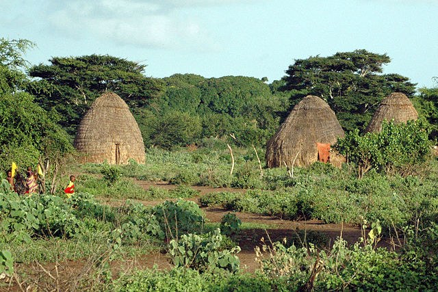 Tana Delta Cultural Centre（水系 / 湖泊 / 海岸）