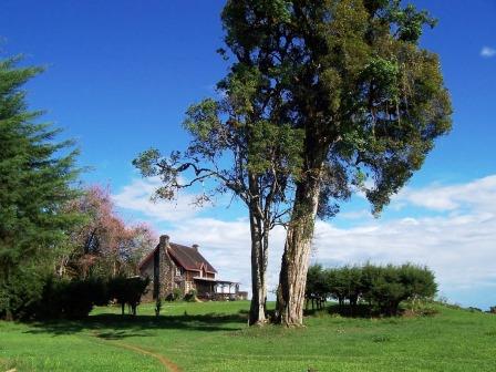 Kirinyaga County（基里尼亚加县）-非行家旅行-Africa Wild Wander