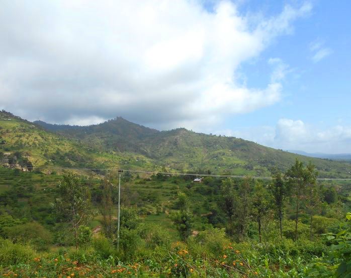 Iveti Hills Forest（伊韦蒂山森林）-非行家旅行-Africa Wild Wander