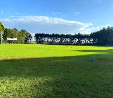 Kericho Golf Course(住宿 / 休闲设施)-非行家旅行-Africa Wild Wander