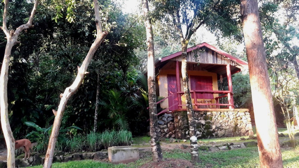 Busambuli Ecolodge（布桑布利生态旅馆）-非行家旅行-Africa Wild Wander