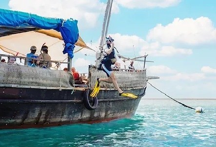 Pilli Pipa Dhow（海洋保护 / 海岛体验）-非行家旅行-Africa Wild Wander