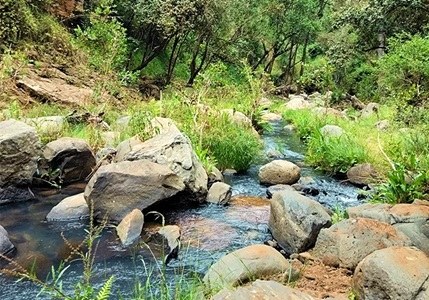 Ngare Ndare Falls(恩加雷恩达雷瀑布)-非行家旅行-Africa Wild Wander