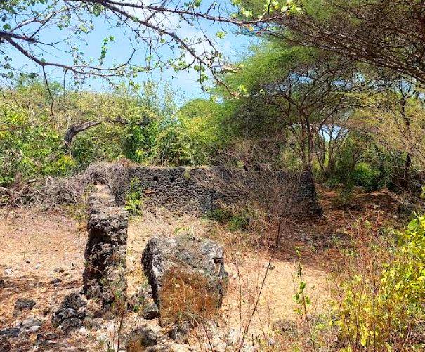 Shanga Ruins（尚加遗址）-非行家旅行-Africa Wild Wander