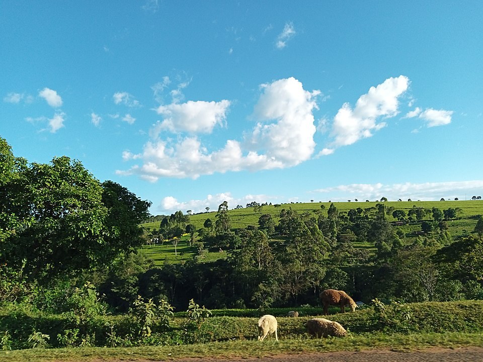 Kaptumo I Kipture Forts(历史与文化遗产)-非行家旅行-Africa Wild Wander