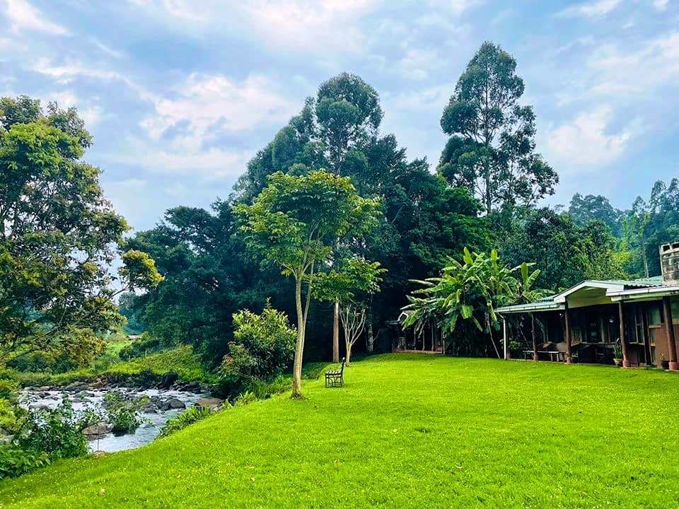 Mathioya River Lodge（河流 / 瀑布 / 水库）-非行家旅行-Africa Wild Wander