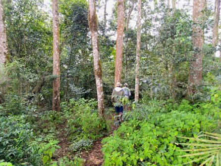 Ngangao Forest（恩冈高森林）-非行家旅行-Africa Wild Wander