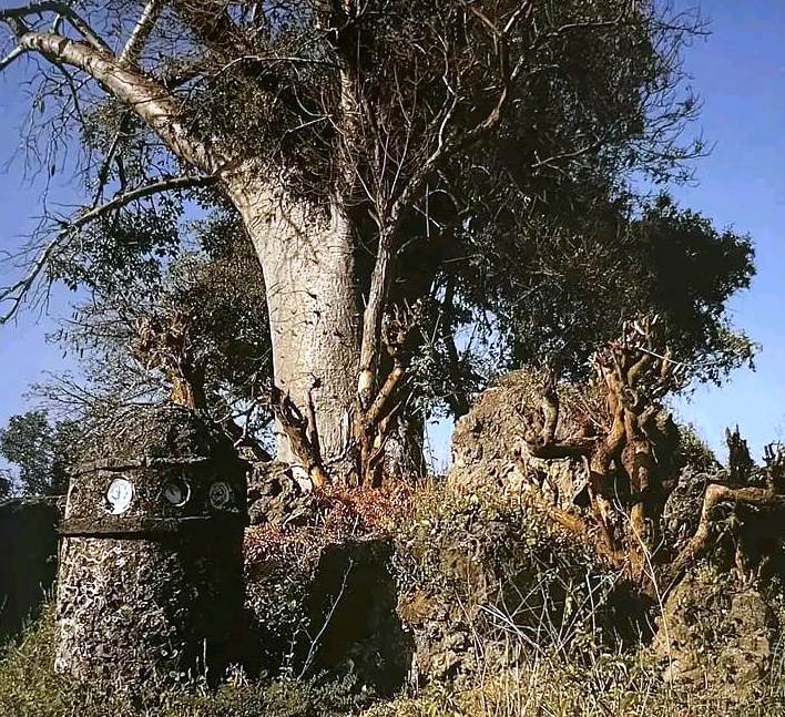 Mambrui Tombs（历史遗产 / 博物馆）-非行家旅行-Africa Wild Wander