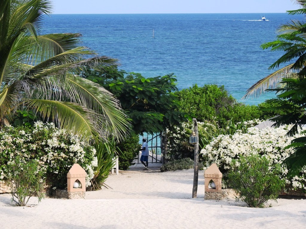 Medina Palms（住宿 / 营地）-非行家旅行-Africa Wild Wander