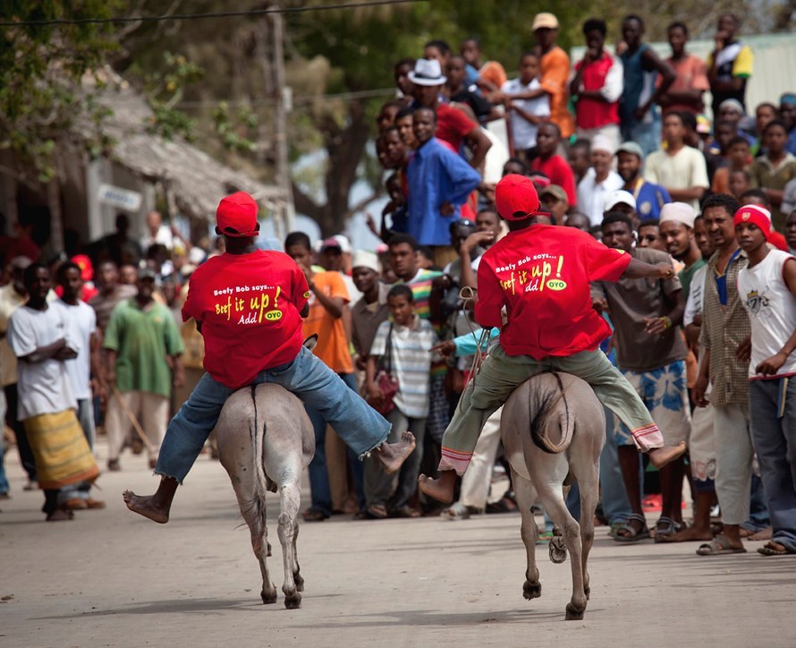 Festivals in Lamu(文化活动 / 日常生活)-非行家旅行-Africa Wild Wander