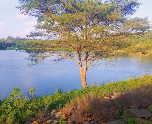Kalundu Eco Park（卡伦杜生态公园）-非行家旅行-Africa Wild Wander
