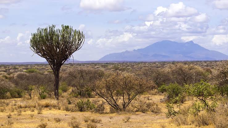 Marsabit National Reserve and Park, Sibiloi National Park, Meru National Park, Mombasa Marine National Reserve and Park, Nairobi National Park（水系 / 湖泊 / 海岸）-非行家旅行-Africa Wild Wander
